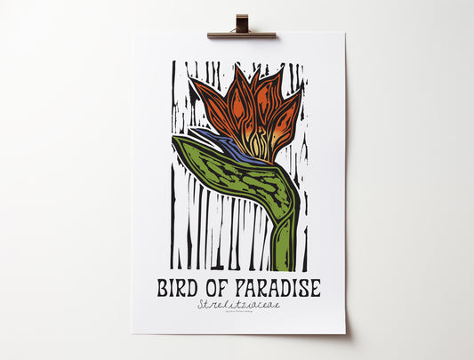 Bird of Paradise: Bold Floral Print