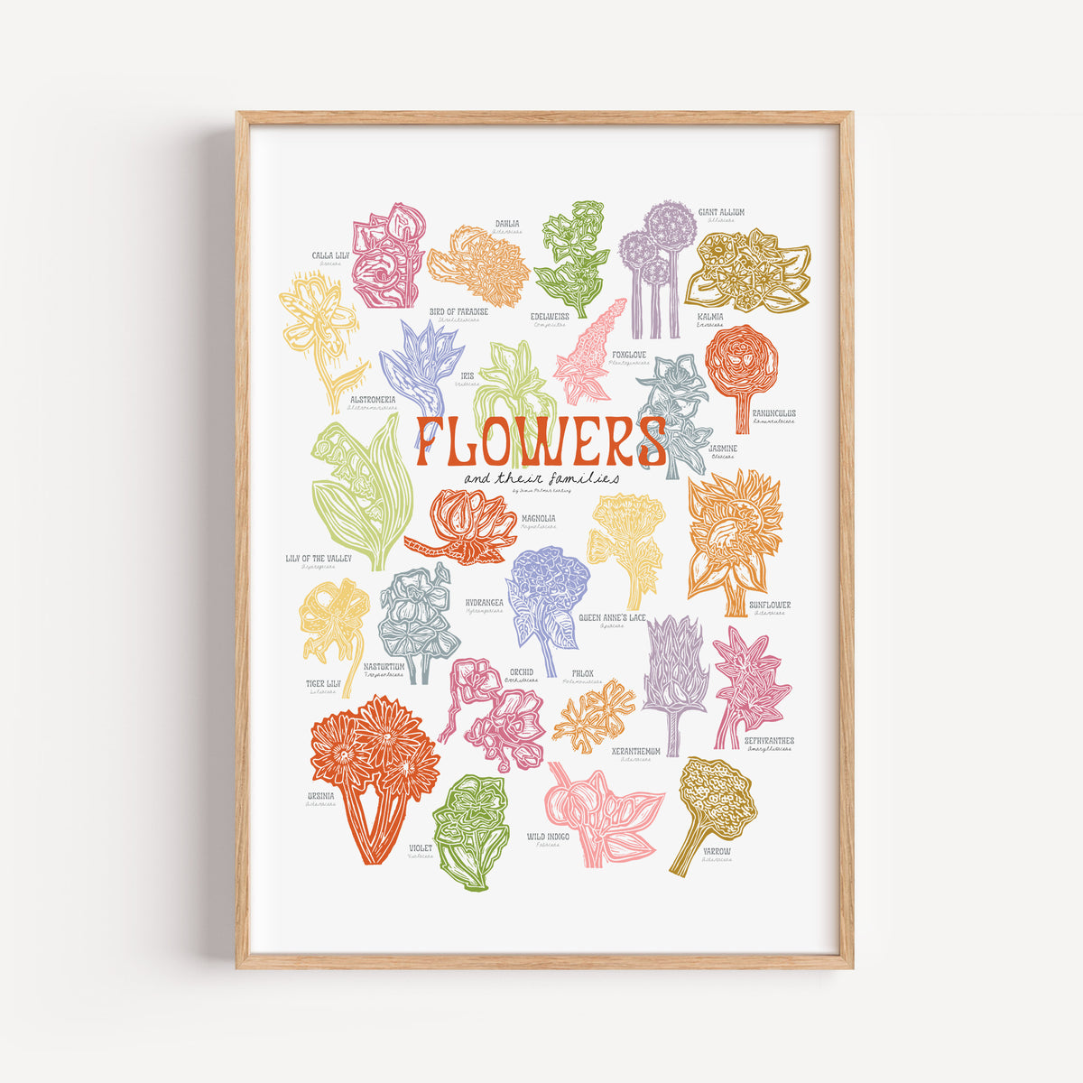 Framed educational poster about flowers on a white background