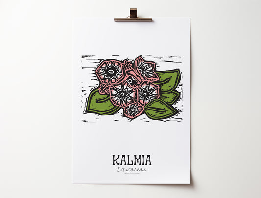 Kalmia: Bold Floral Print