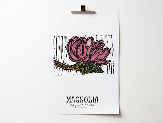 Magnolia: Bold Floral Print