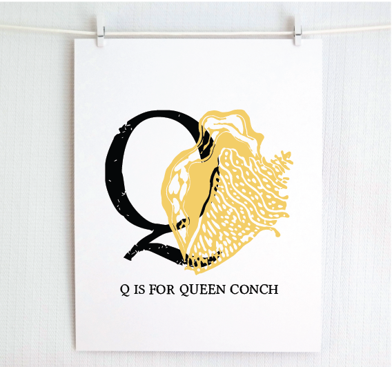 Q is for Queen Conch Illustrated Print