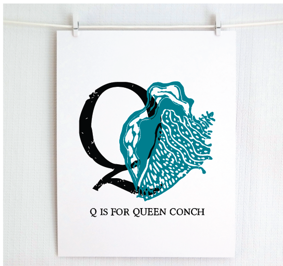 Q is for Queen Conch Illustrated Print