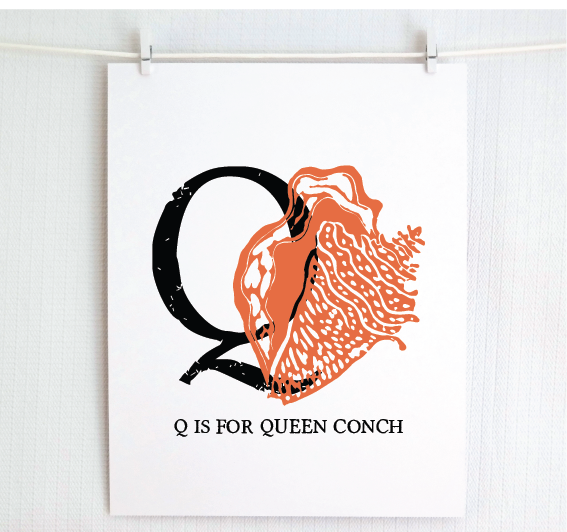Q is for Queen Conch Illustrated Print