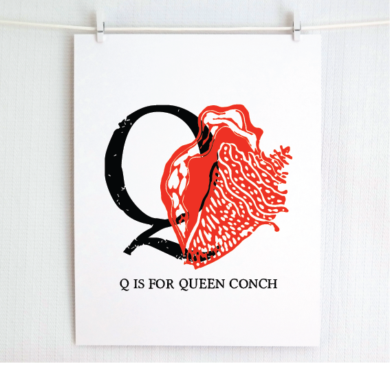Q is for Queen Conch Illustrated Print