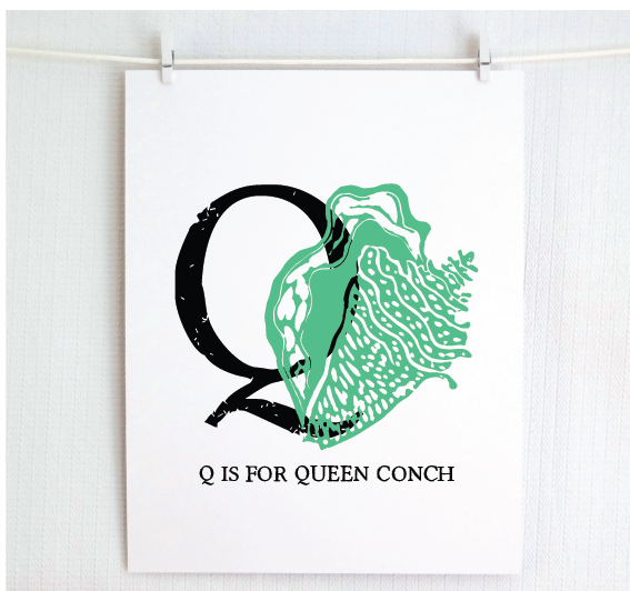 Q is for Queen Conch Illustrated Print
