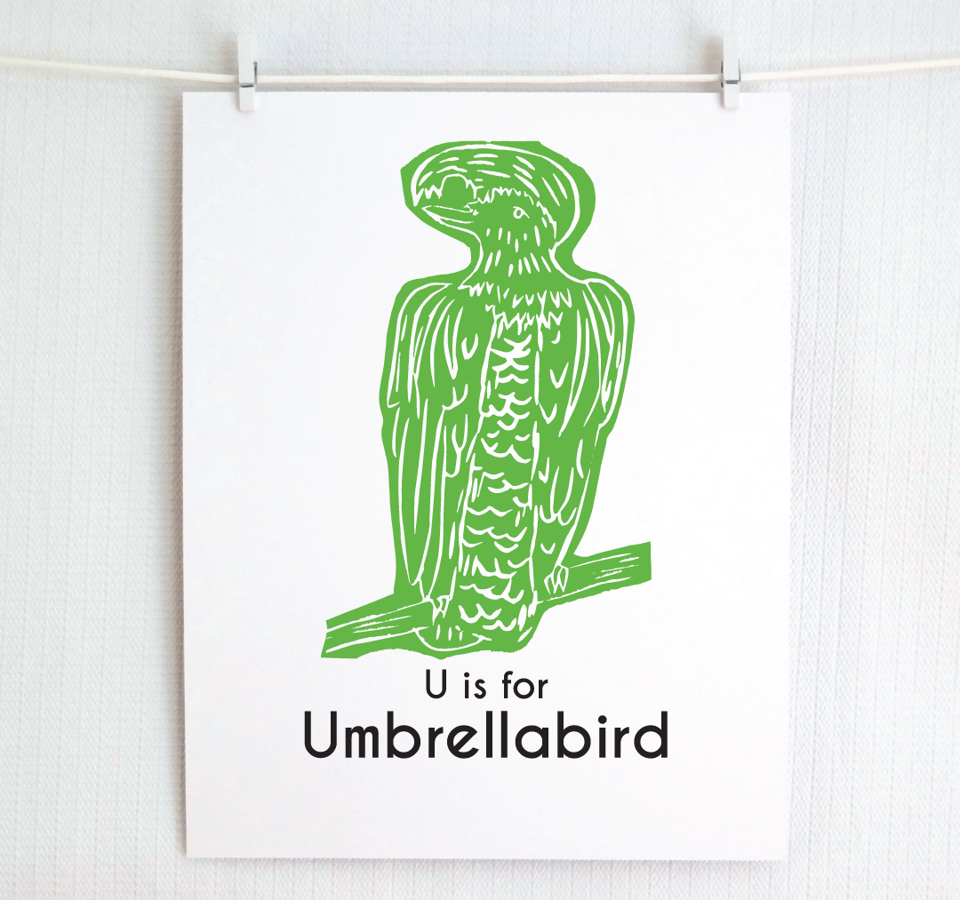 U is for Umbrellabird: Captivating Creatures Alphabet Letter Print