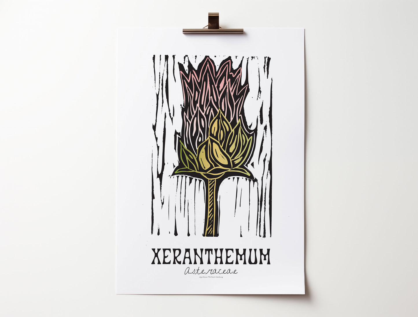 Xeranthemum: Bold Floral Print