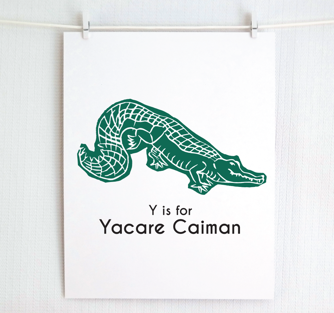 Y is for Yacare Caiman: Captivating Creatures Alphabet Letter Print