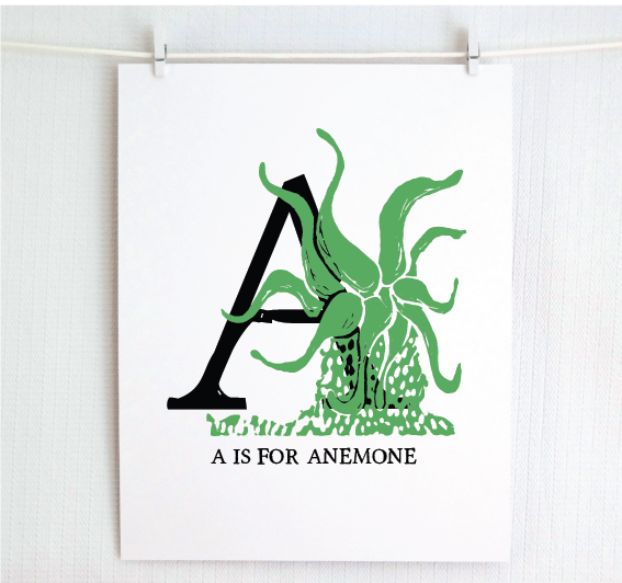 An illustrated green anemone with done in printmaking style over decorative style block lettering text “A” with “A for Anemone” text printed below.