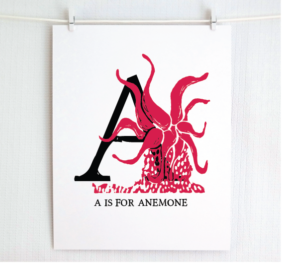 An illustrated cranberry anemone with done in printmaking style over decorative style block lettering text “A” with “A for Anemone” text printed below.