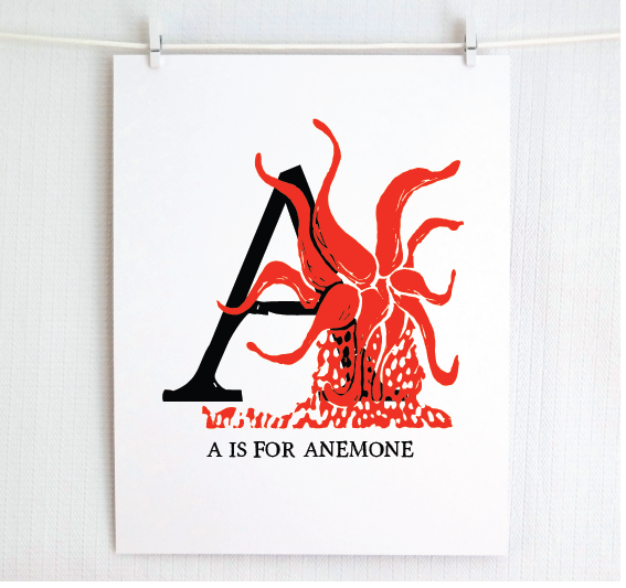 An illustrated fire red anemone with done in printmaking style over decorative style block lettering text “A” with “A for Anemone” text printed below.