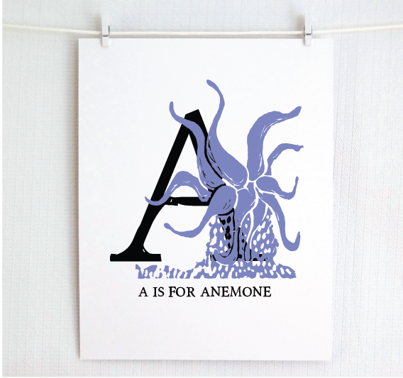 An illustrated periwinkle anemone with done in printmaking style over decorative style block lettering text “A” with “A for Anemone” text printed below.