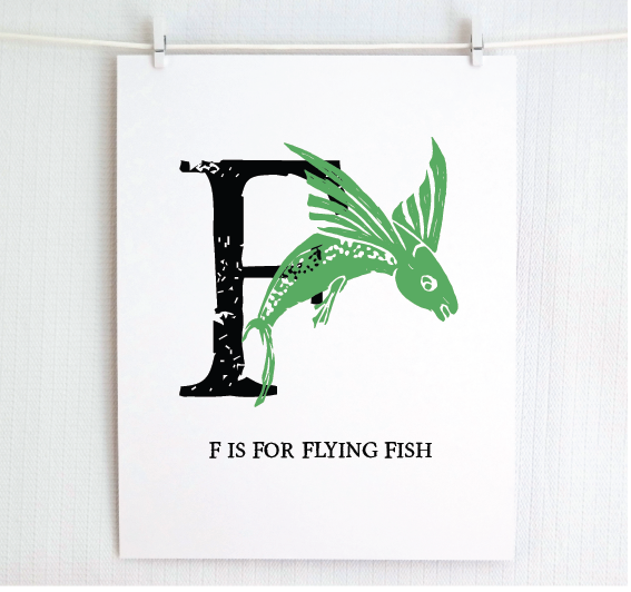 F is for Flying Fish Illustrated Print