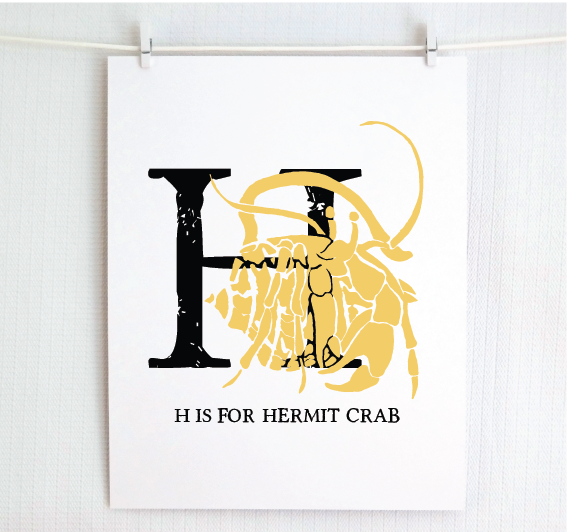 H is for Hermit Crab
