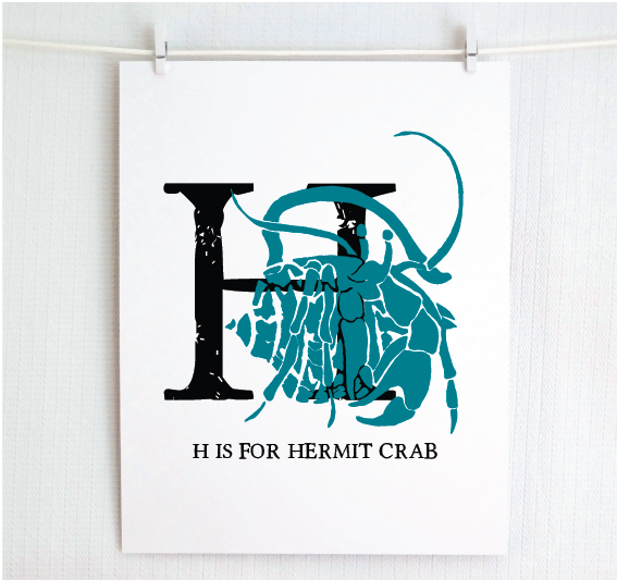 H is for Hermit Crab