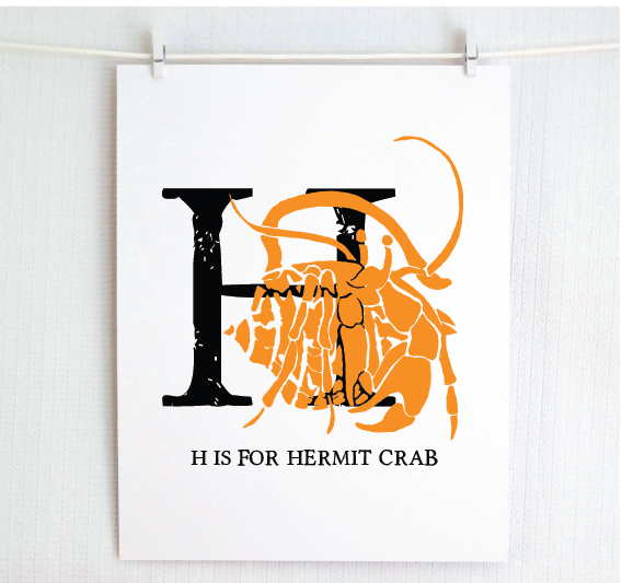 H is for Hermit Crab