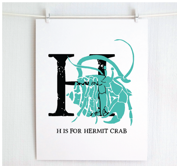 H is for Hermit Crab