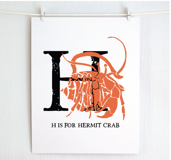 H is for Hermit Crab