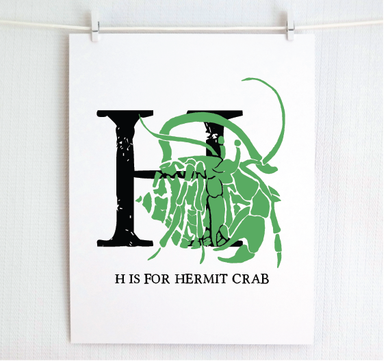 H is for Hermit Crab
