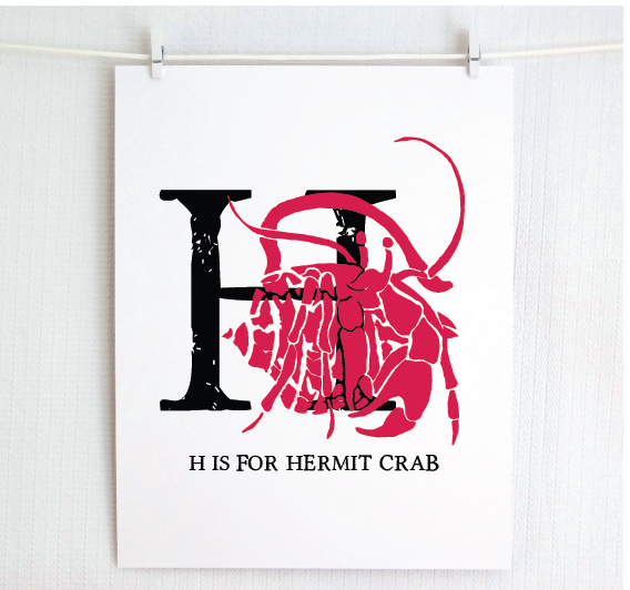 H is for Hermit Crab