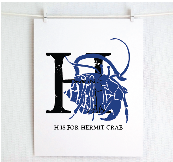 H is for Hermit Crab