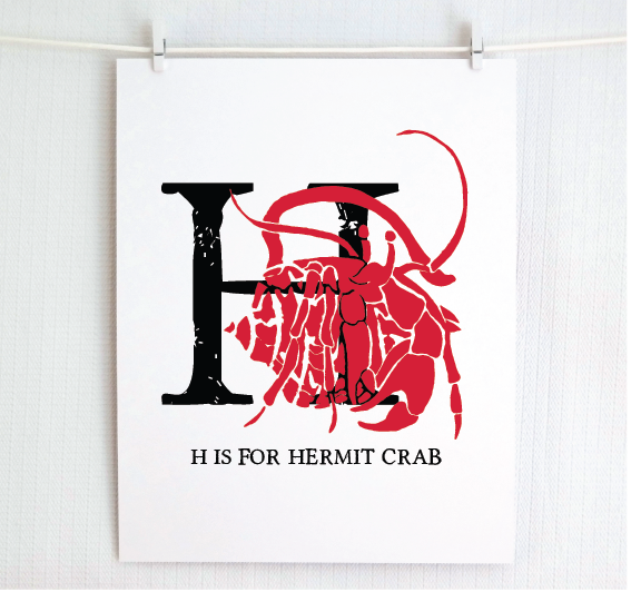 H is for Hermit Crab