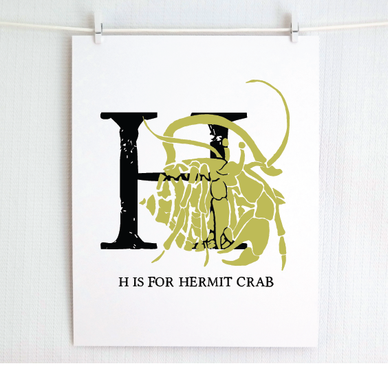 H is for Hermit Crab