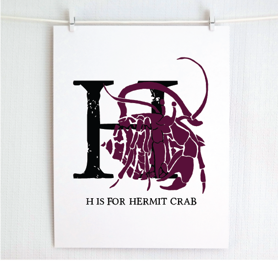 H is for Hermit Crab