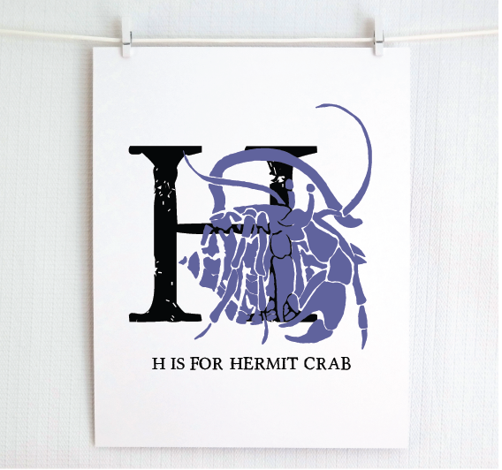 H is for Hermit Crab