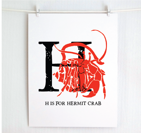 H is for Hermit Crab