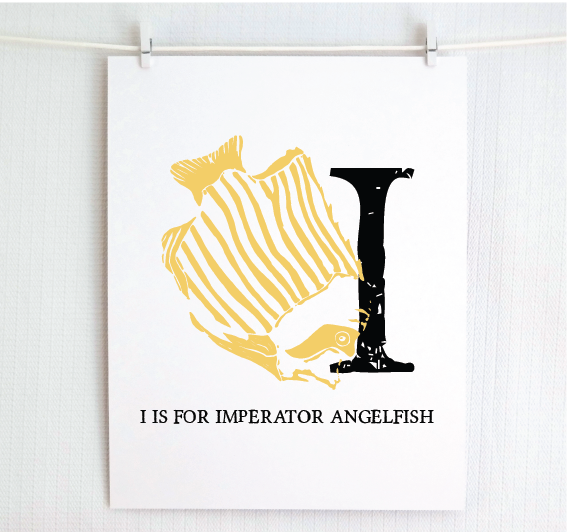 I is for Imperator Angelfish Illustrated Print