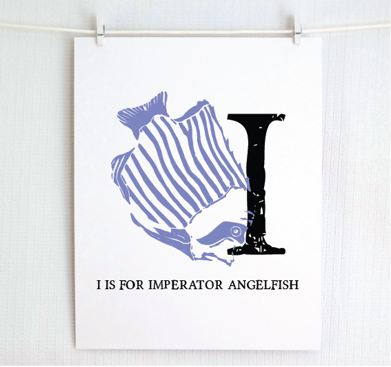 I is for Imperator Angelfish Illustrated Print