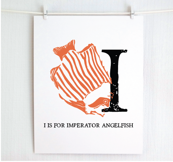 I is for Imperator Angelfish Illustrated Print