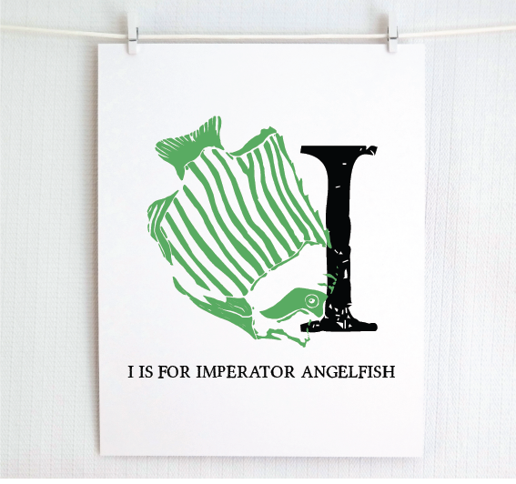 I is for Imperator Angelfish Illustrated Print