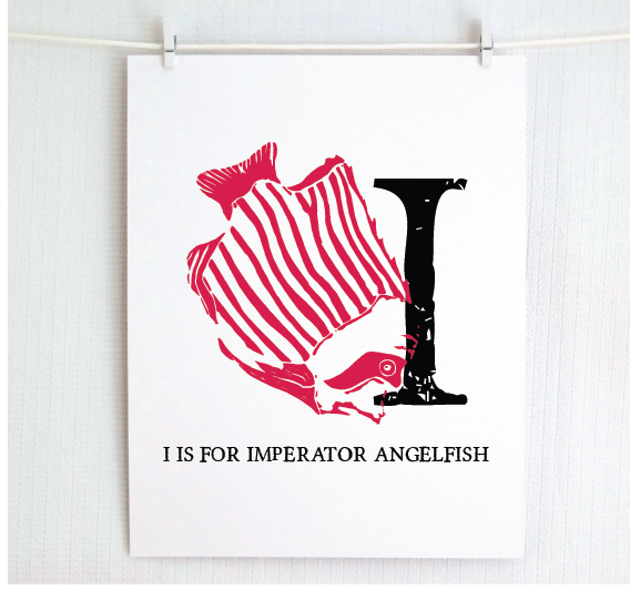 I is for Imperator Angelfish Illustrated Print