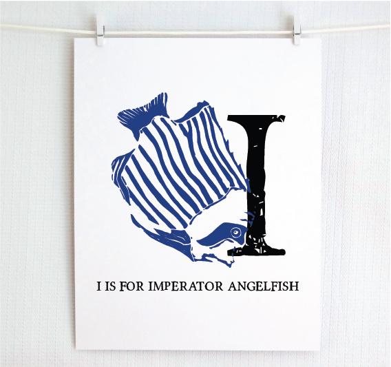 I is for Imperator Angelfish Illustrated Print