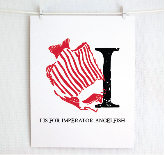 I is for Imperator Angelfish Illustrated Print