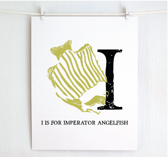 I is for Imperator Angelfish Illustrated Print