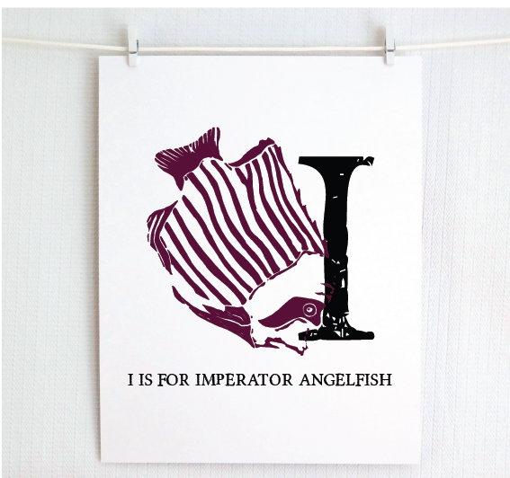 I is for Imperator Angelfish Illustrated Print