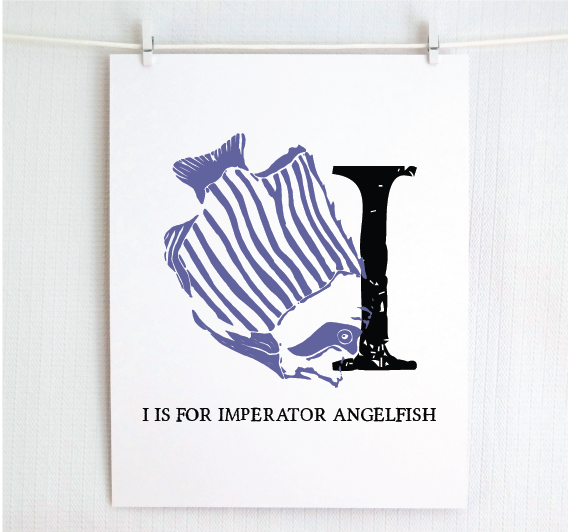 I is for Imperator Angelfish Illustrated Print