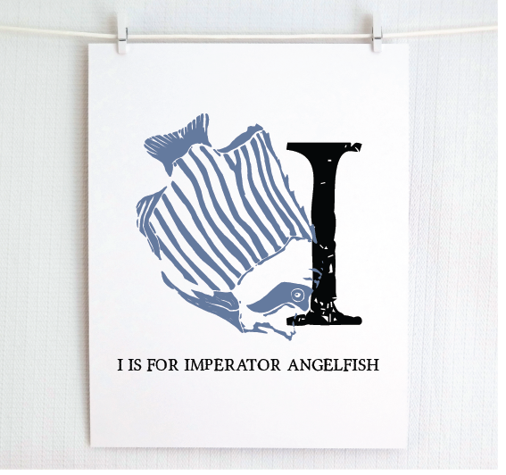 I is for Imperator Angelfish Illustrated Print