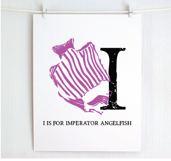 I is for Imperator Angelfish Illustrated Print