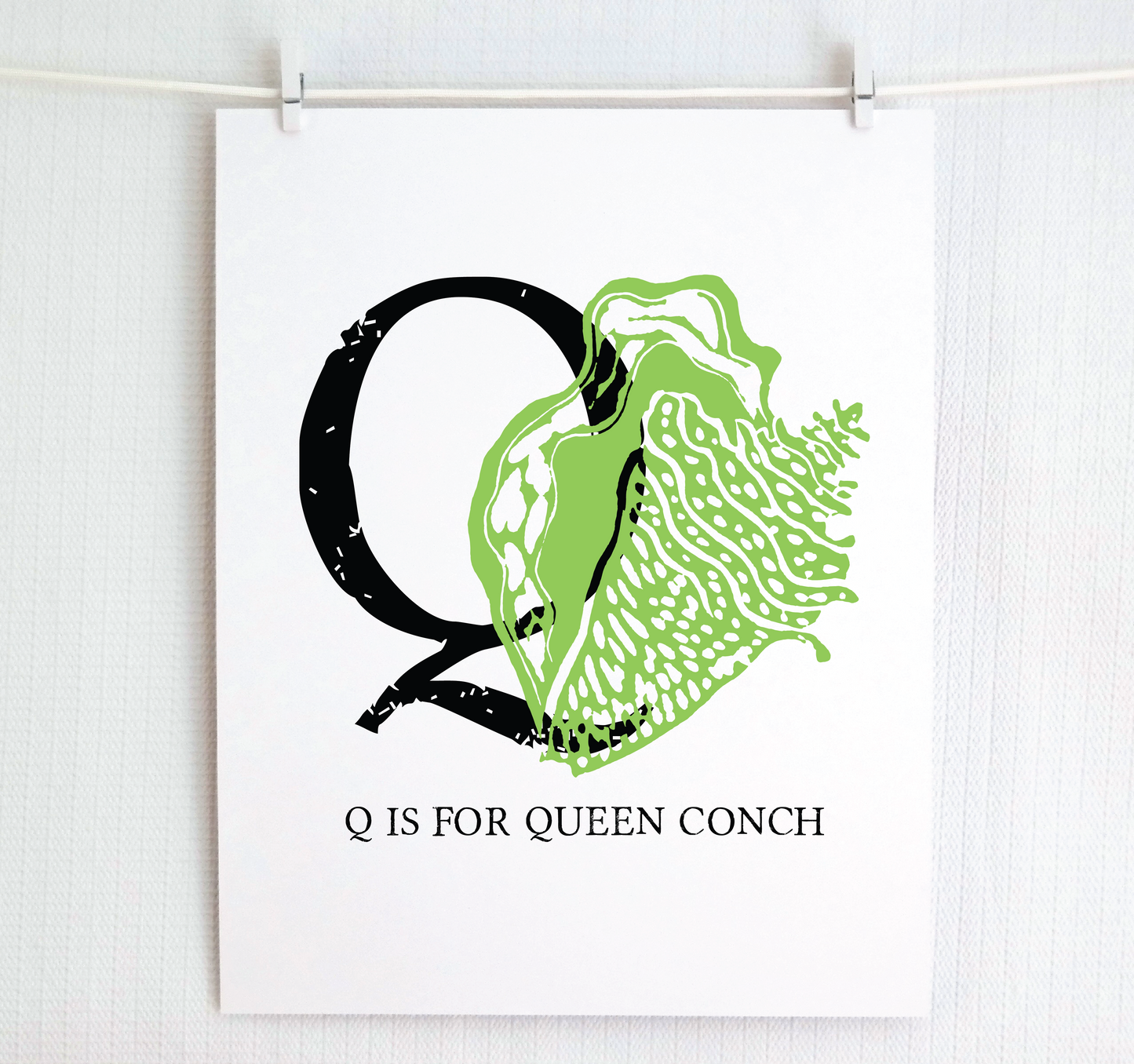 Q is for Queen Conch
