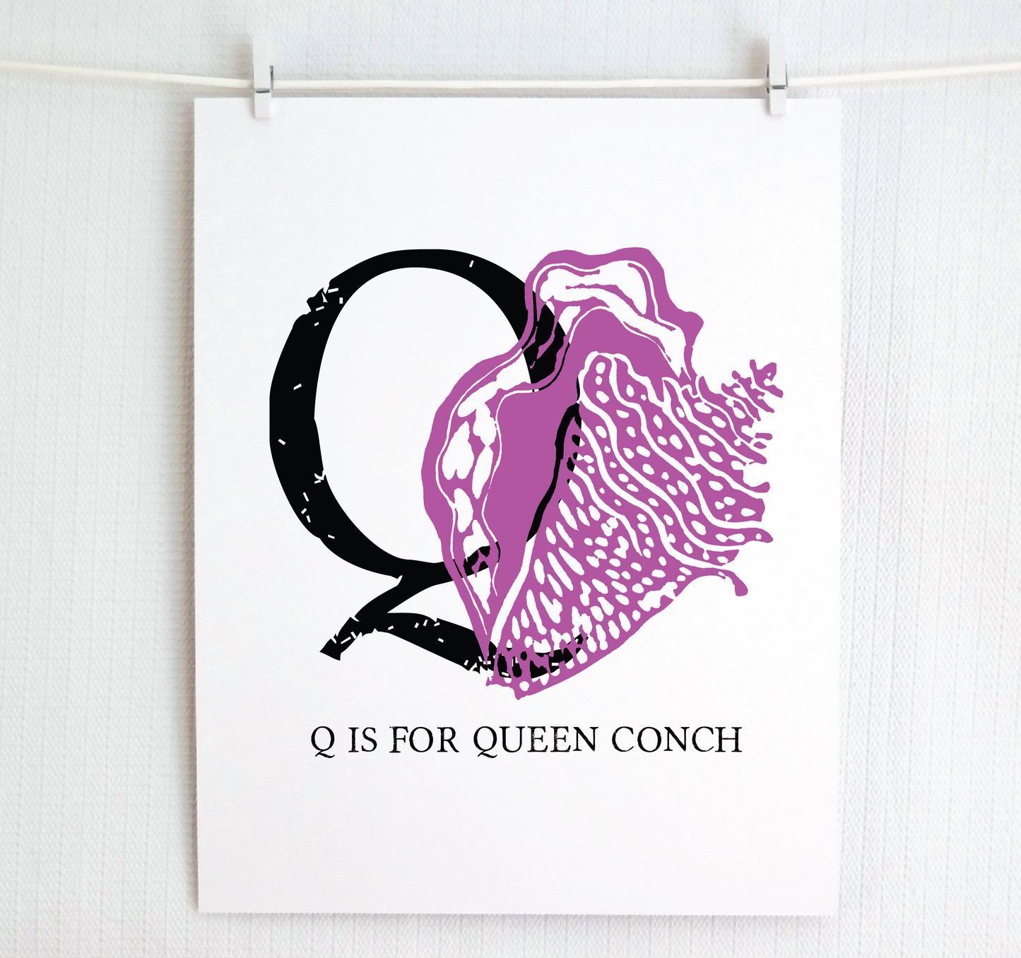 Q is for Queen Conch