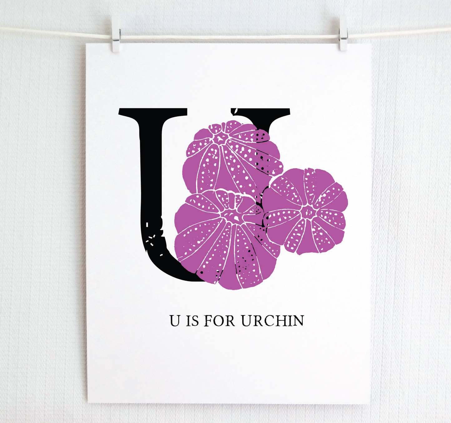 U is for Urchin