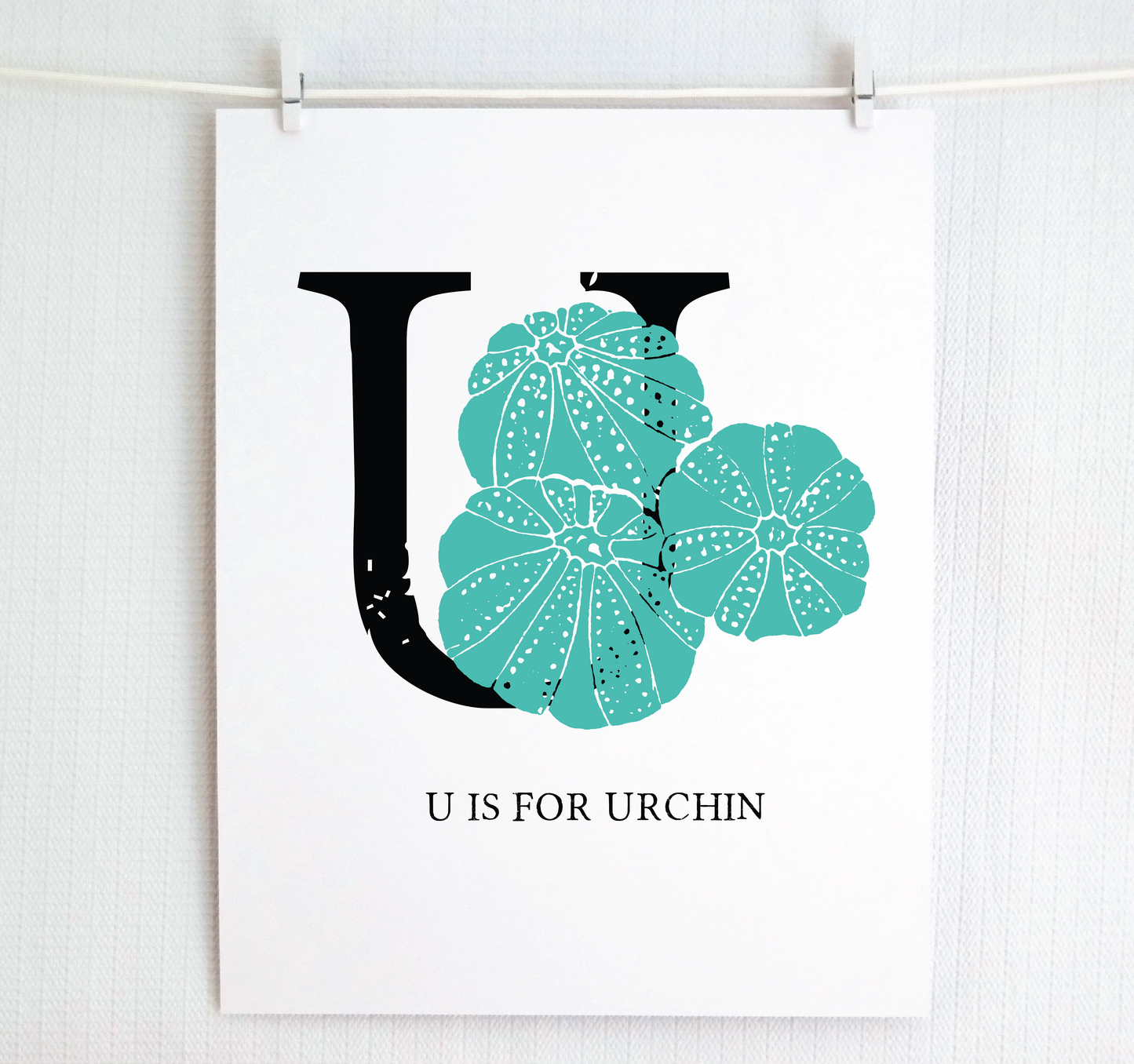 U is for Urchin
