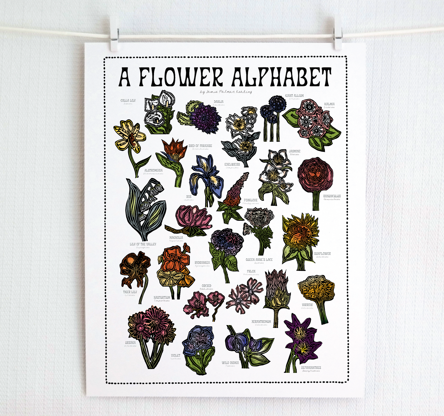 Poster titled 'A Flower Alphabet' with illustrations of flowers on a white background