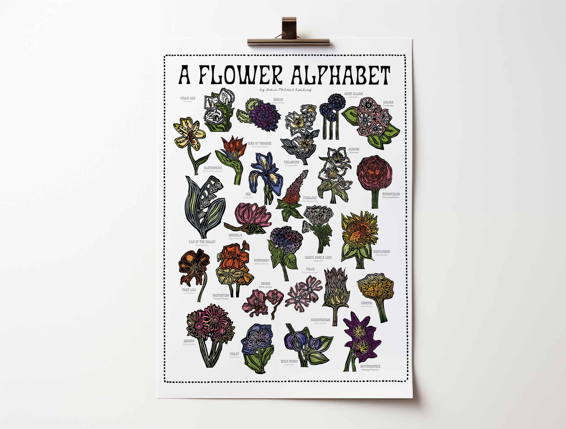 Poster titled 'A Flower Alphabet' with illustrations of various flowers on a white background.