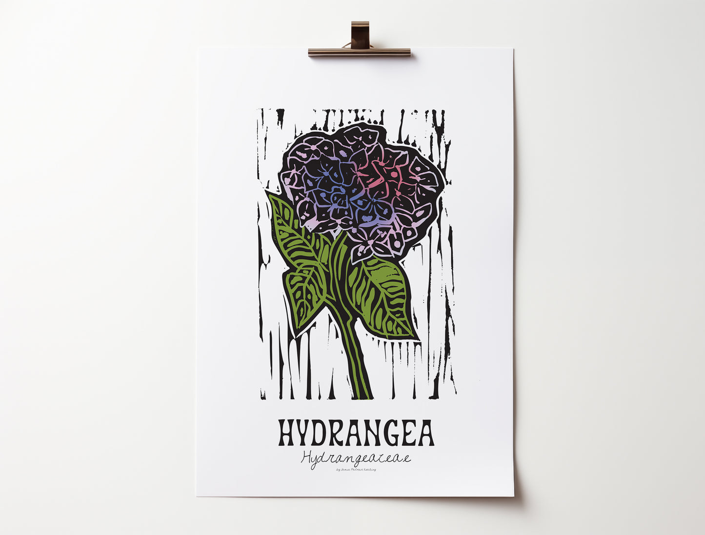 Hydrangea: Bold Floral Print