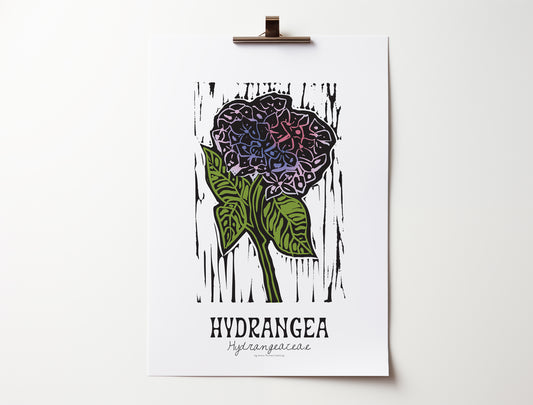Hydrangea: Bold Floral Print